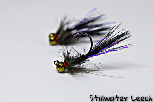 Stillwater Leech Black